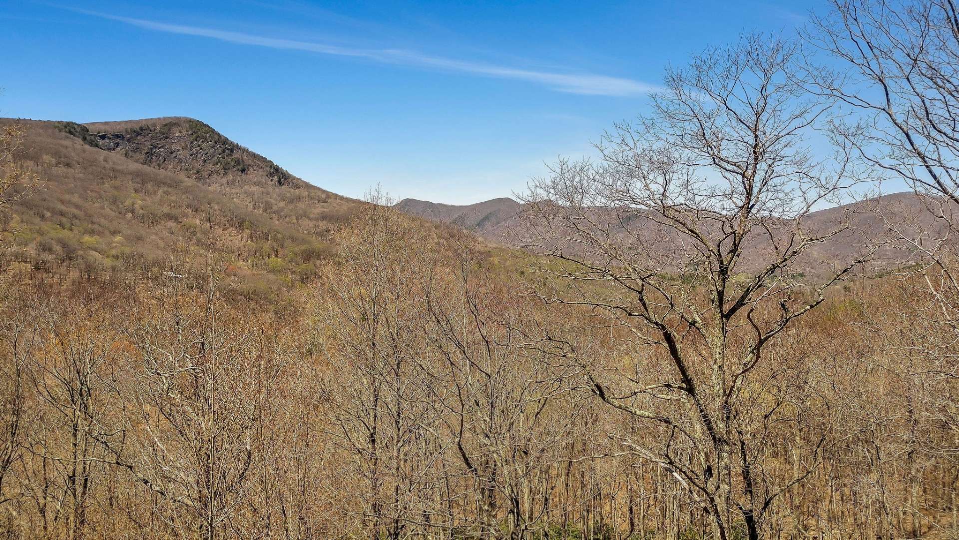 Views of Bluff Mountain and surrounding vistas.
