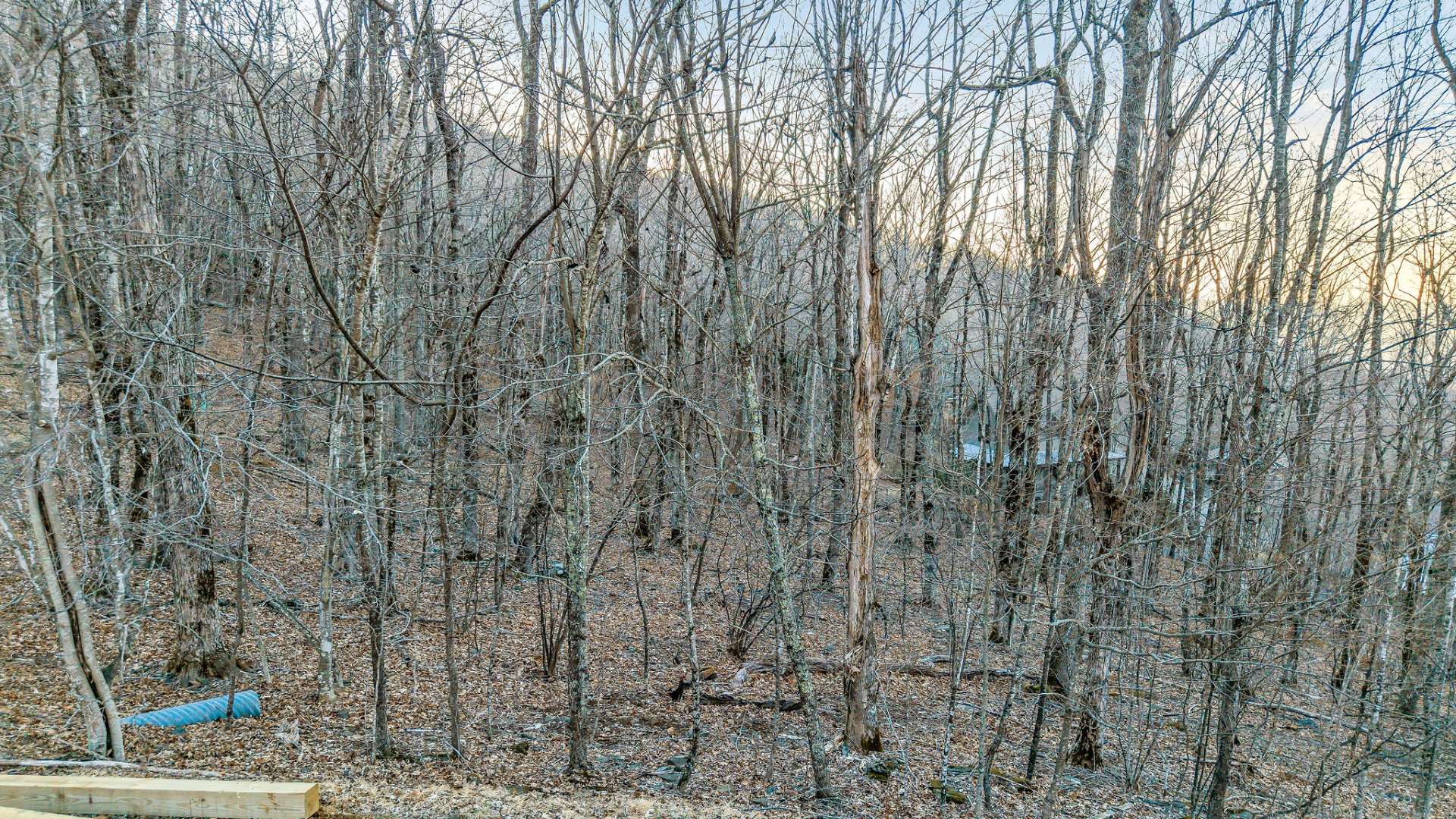 Even before your lot is cleared, you can see the potential view.