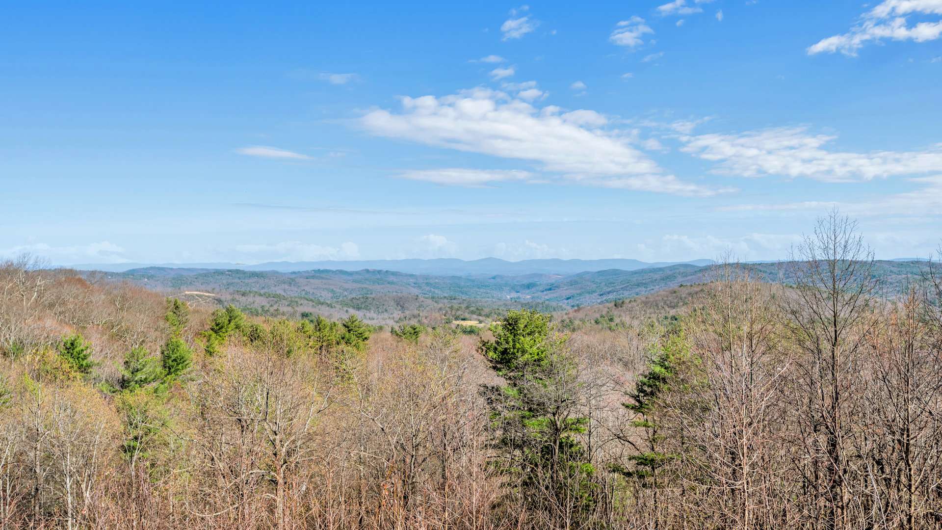 Mountain dreams-Blue Ridge Mountains for miles!