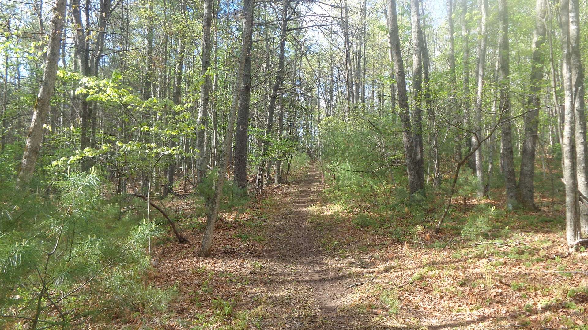 A walking trail  provides for a nice afternoon stroll.