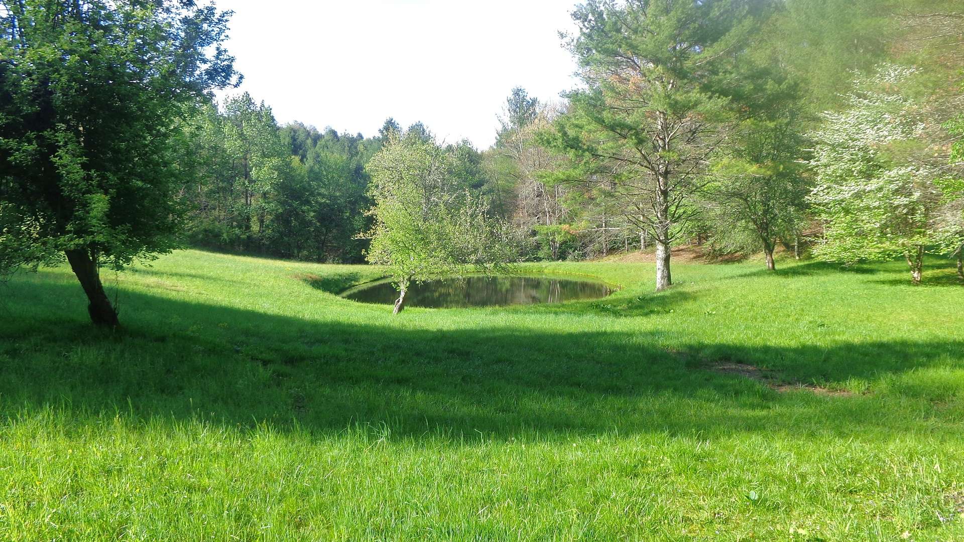 Lot 47 & 48</b>are now available. This is a 9.3 acre wooded tract offering a private pond.