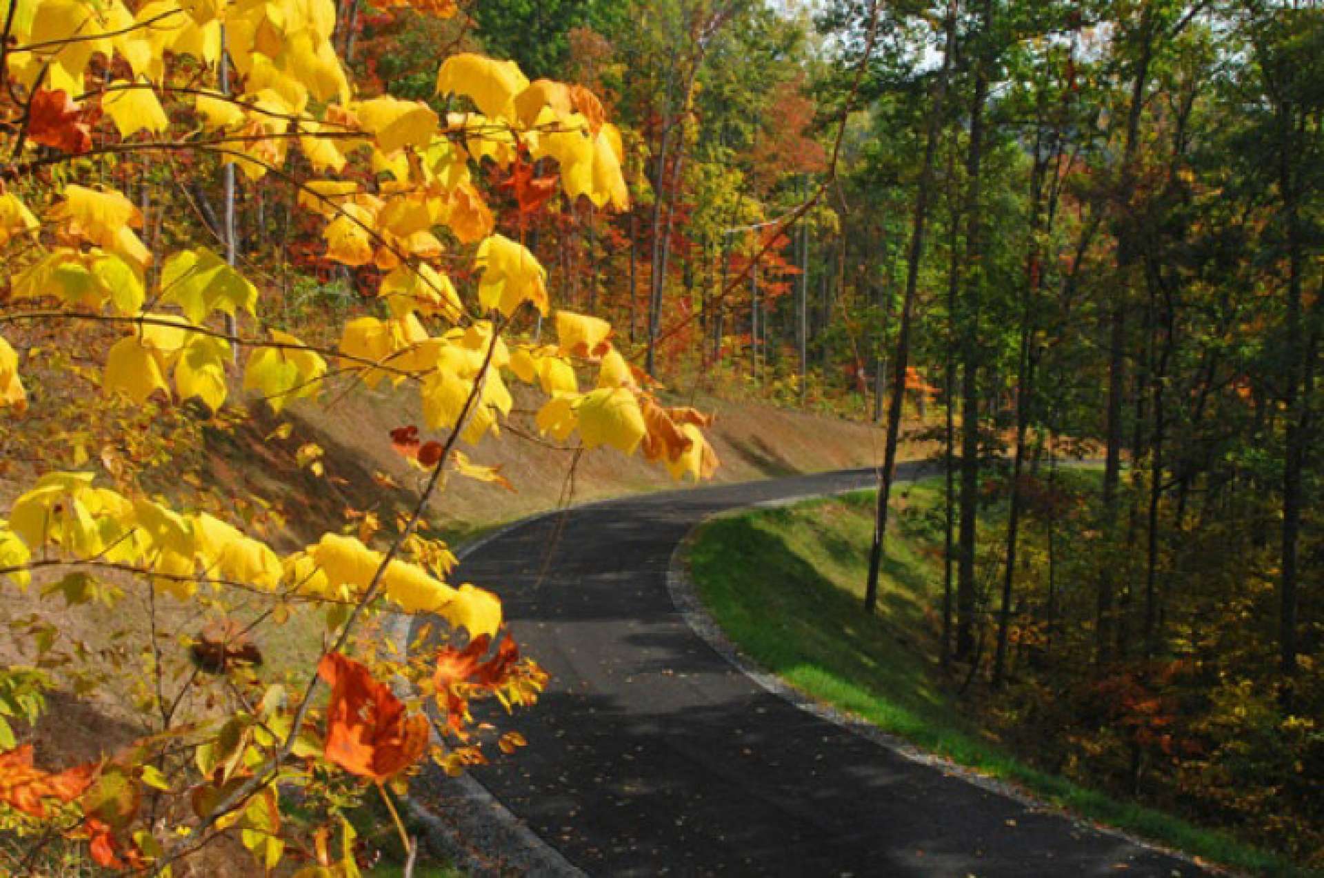 Greystone at Phoenix is beautifully landscaped and offers ideal homesites for those looking for big views in an upscale gated neighborhood.