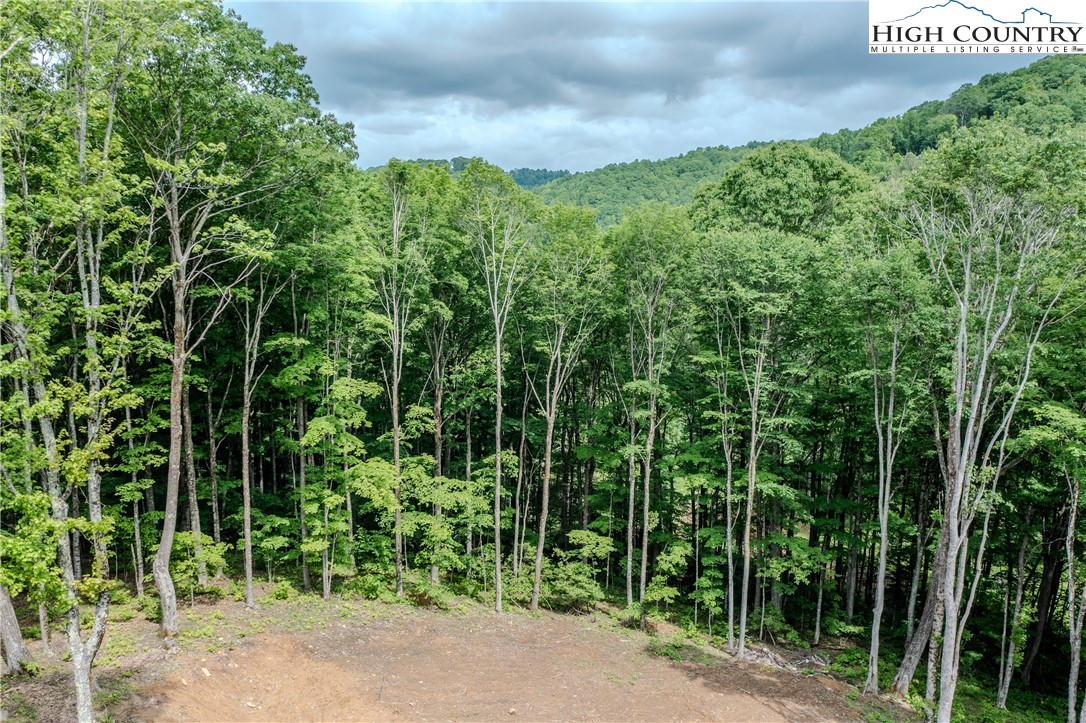 C-109 Mossy Bark Trail