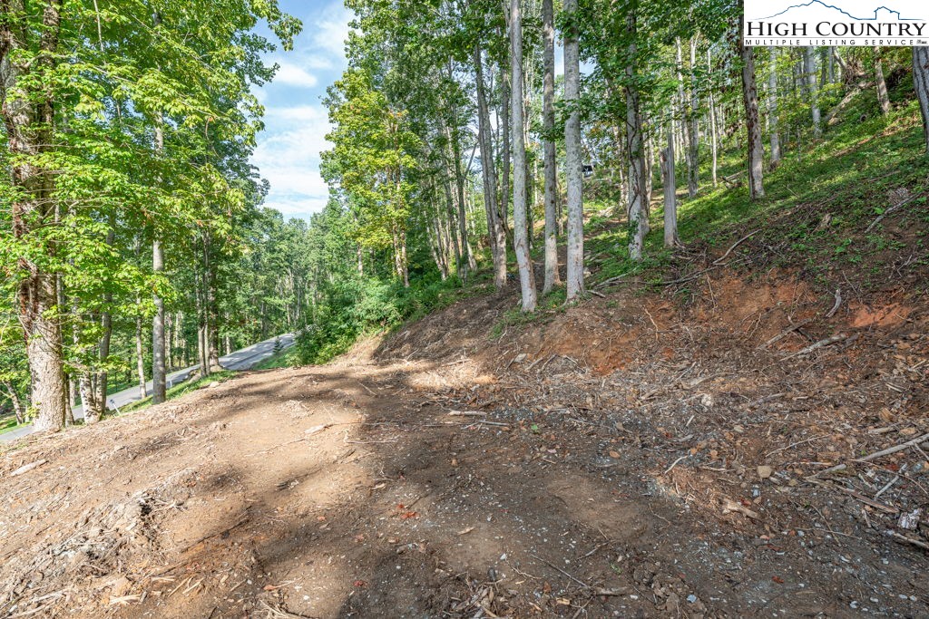 C1 Eagles Nest Trail