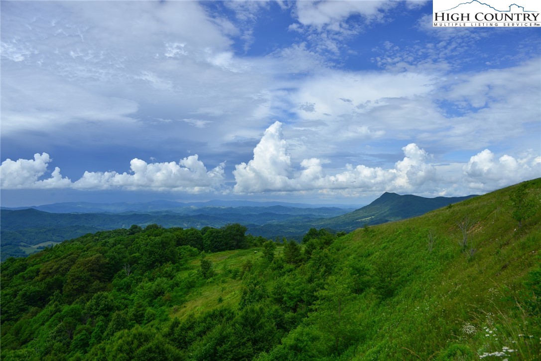 C609 High Mountain Nvno