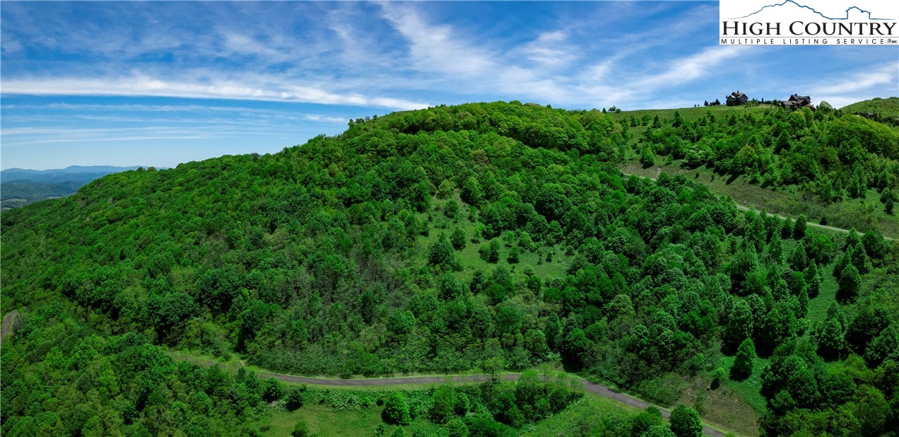 C610 High Mountain Nvno