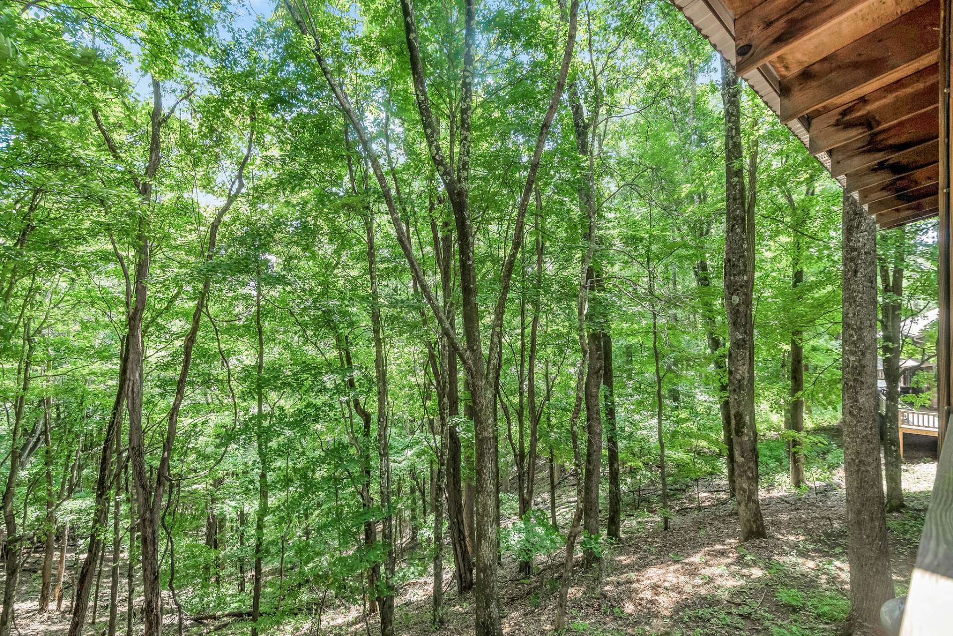 Enjoy a naturally wooded setting surrounding the cabin.