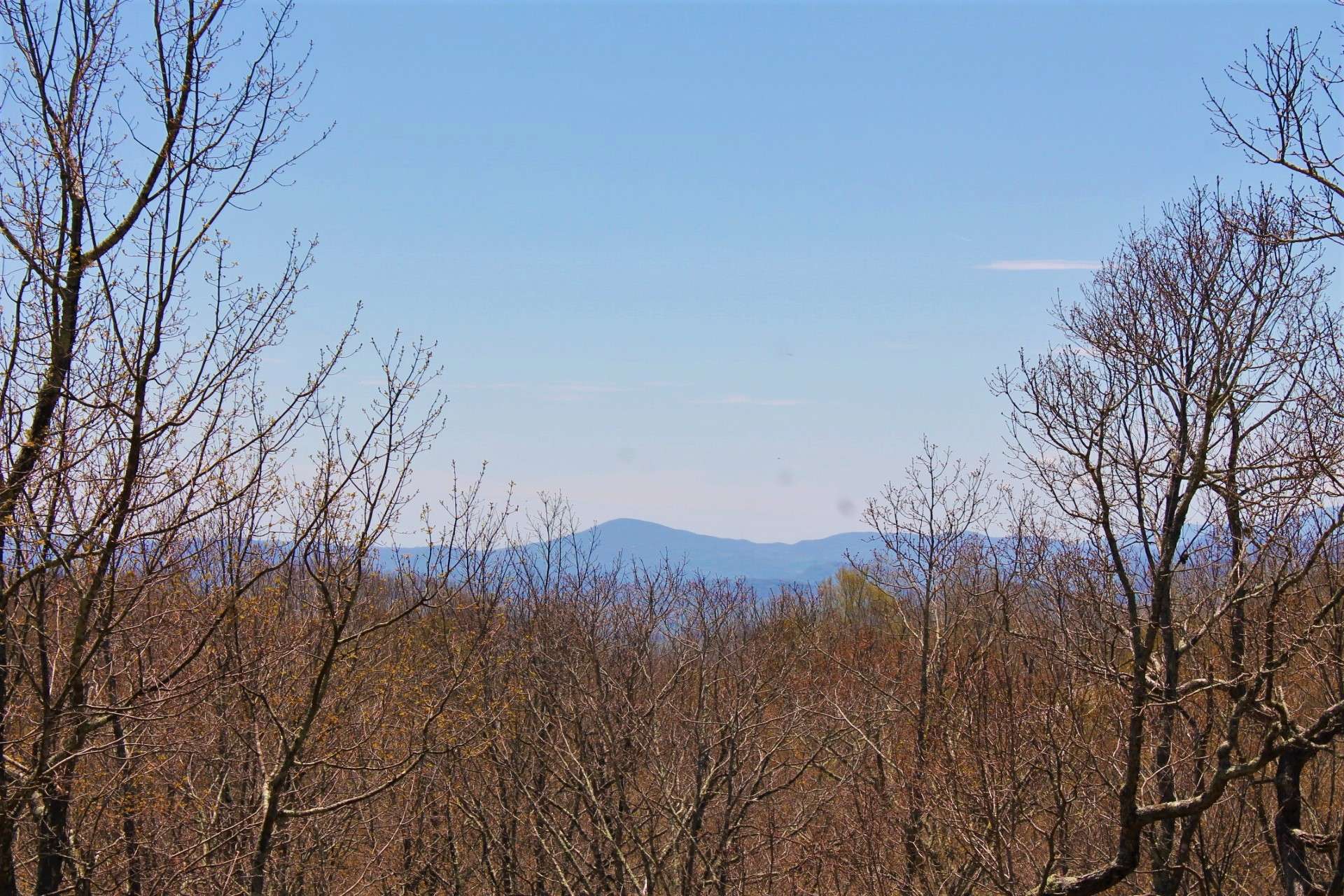 During the winter months, the Blue Ridge Mountains serve as a backdrop for this authentic log home.