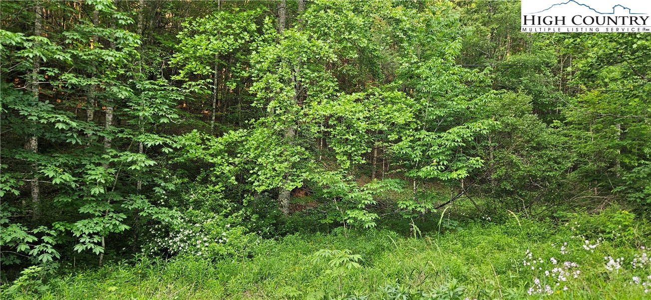 Chestnut Dale