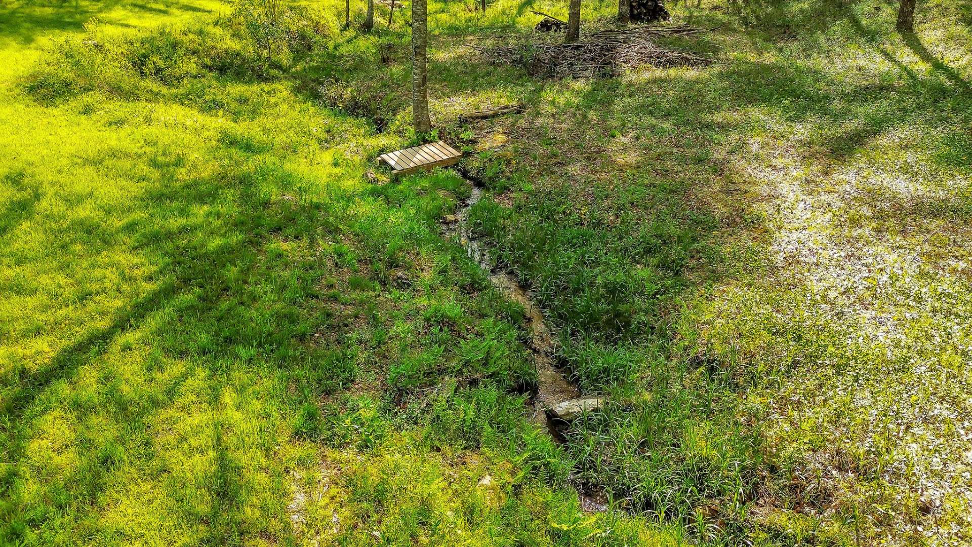 The small mountain stream is spring-fed.