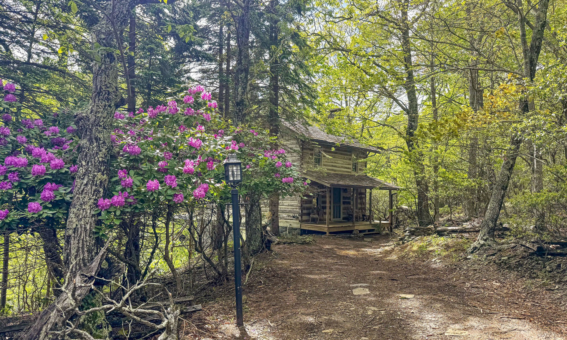 Cozy Log Cabin Blue Ridge Mountains