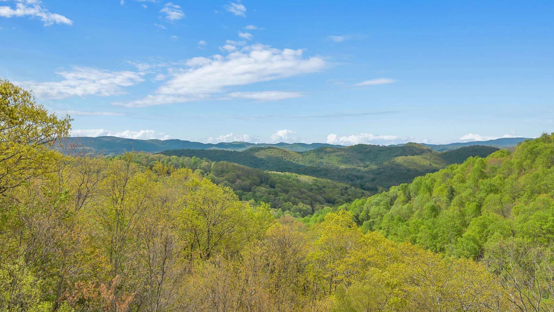 This cabin holds a secret surprise view from the back deck that will leave you awestruck.