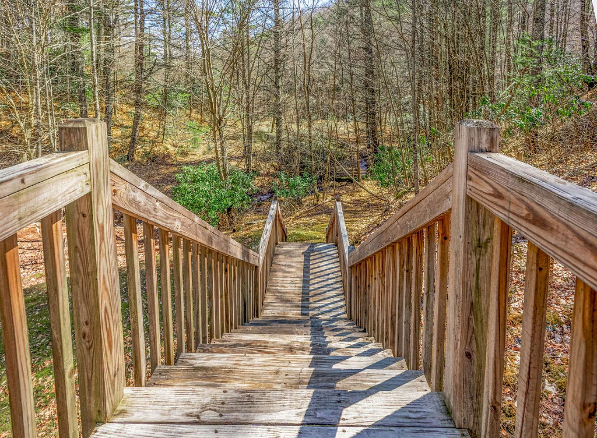 Steps leading down to the backyard where you can walk to the creek.