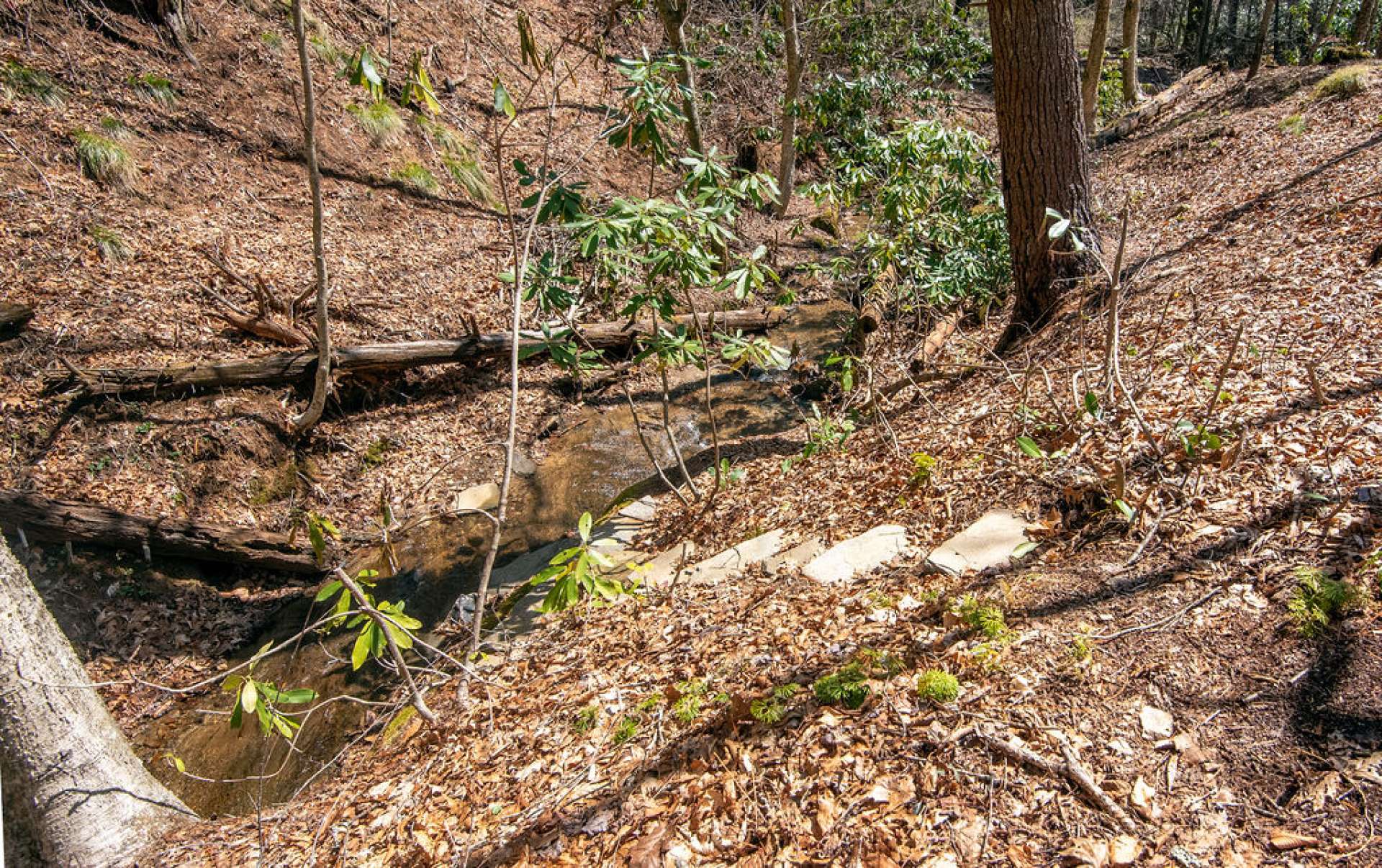 Enjoy relaxing by the creek.