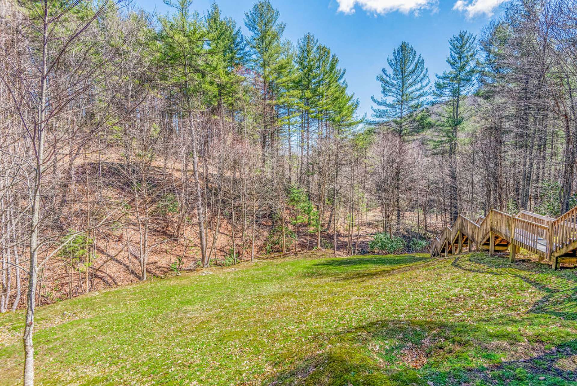 The back yard is like a park! Plenty of room for planting a garden or for kids or pets to play.