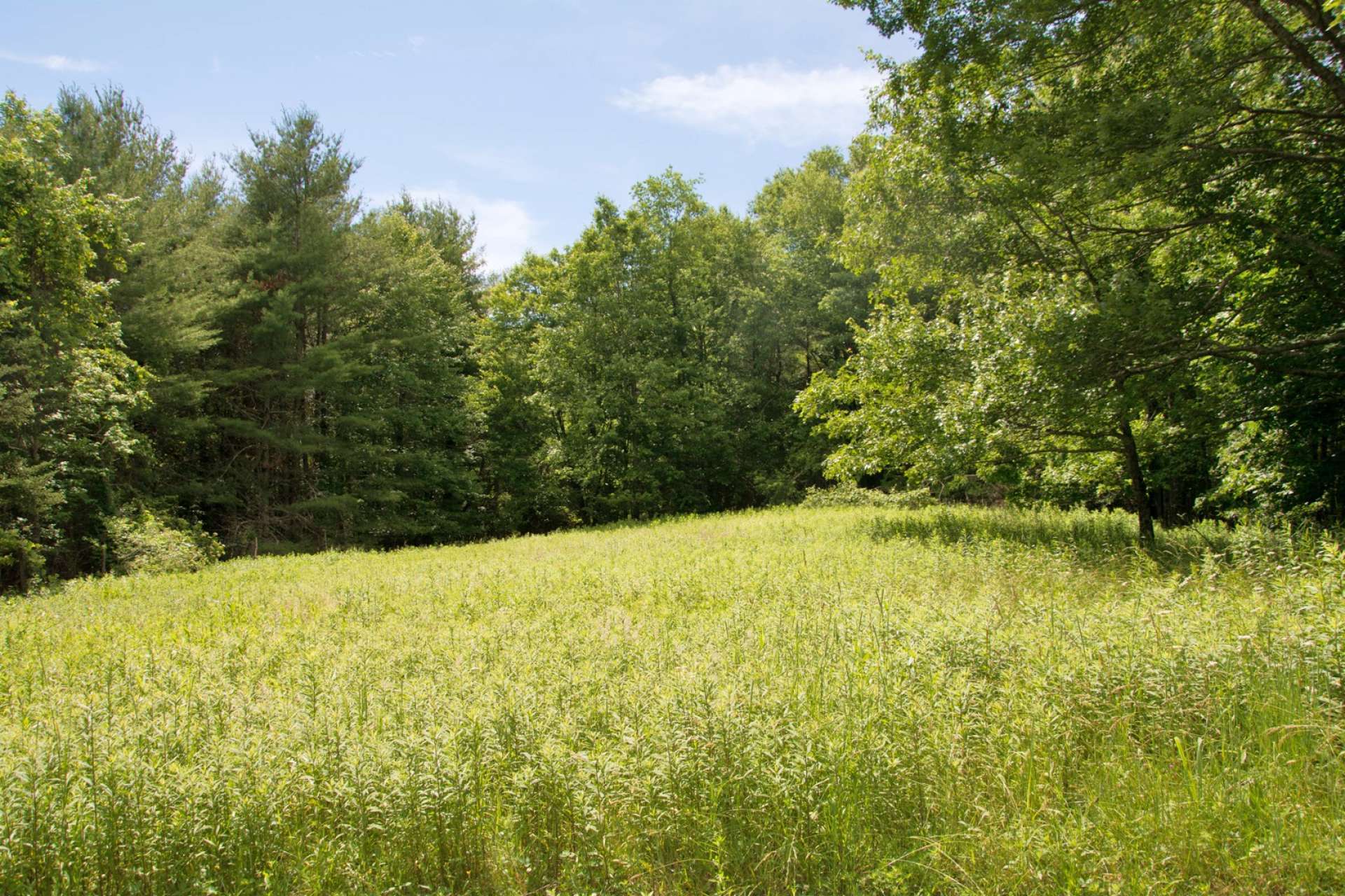 You might want to have your own vineyard, or grow your own vegetables and crops.