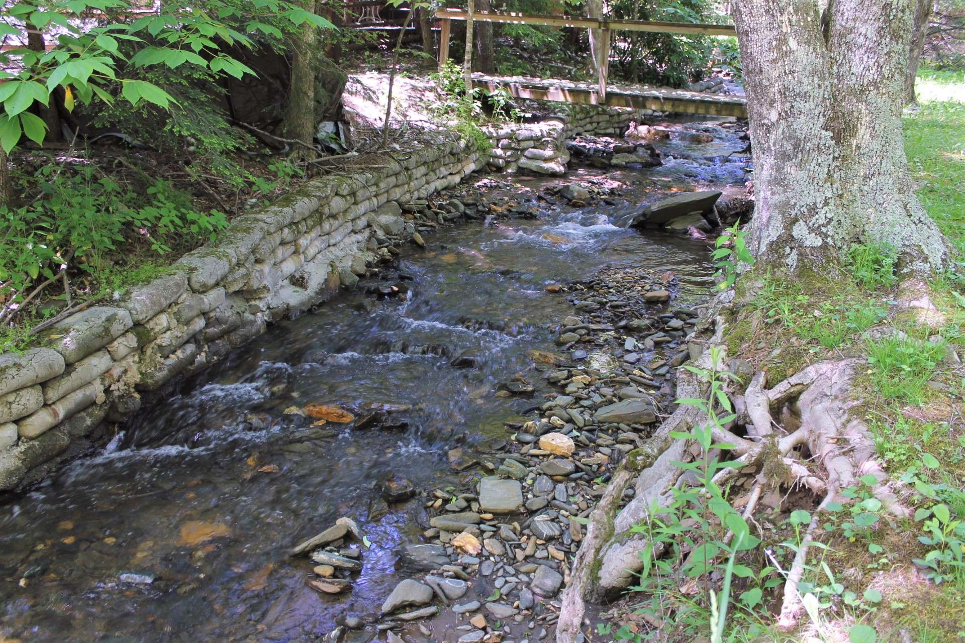You will enjoy the sounds of the rushing creek and reminisce of fond childhood memories and time spent playing in a mountain creek.