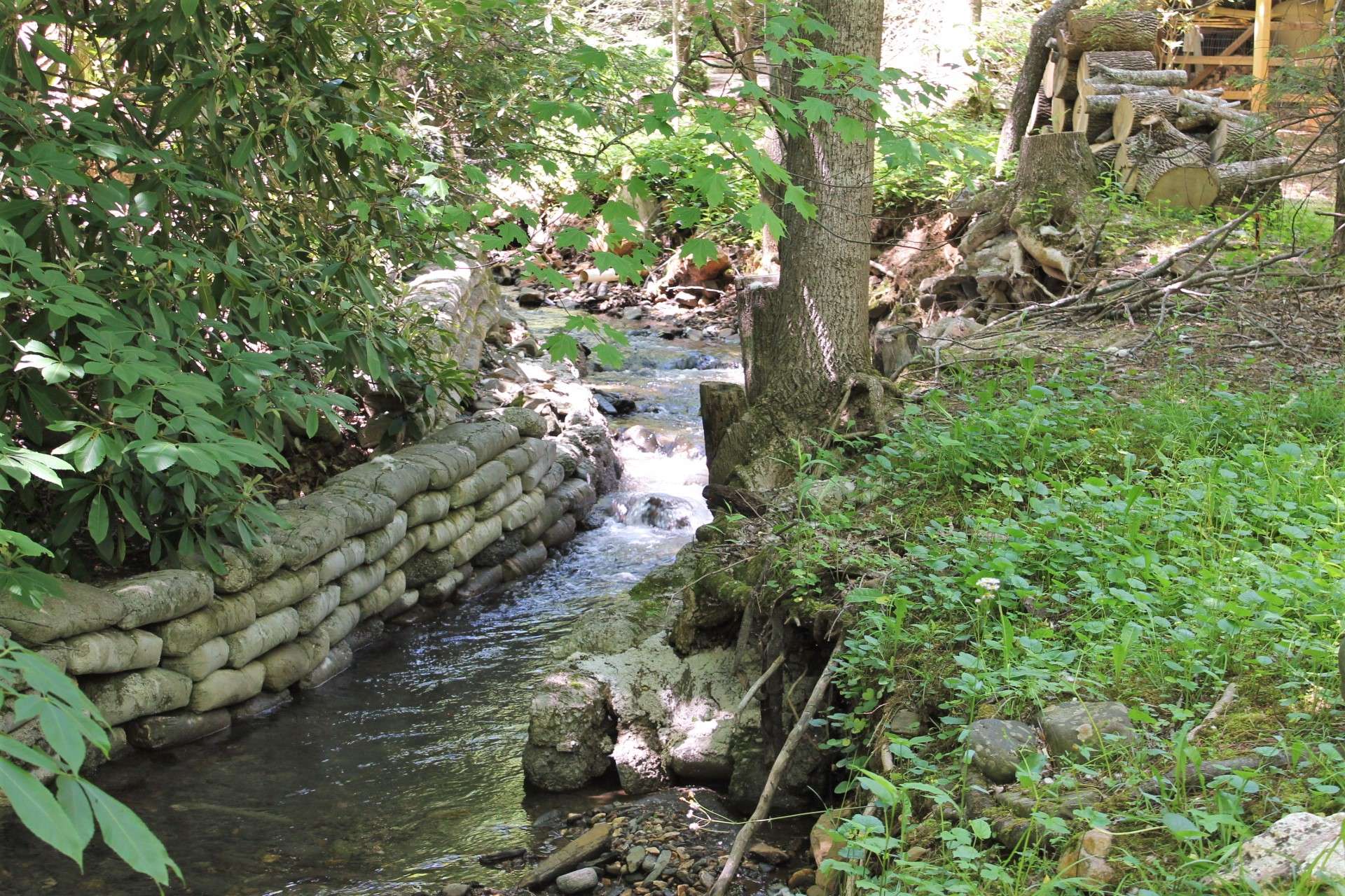 Is there anything more relaxing than hearing the rushing waters of a bold mountain creek?