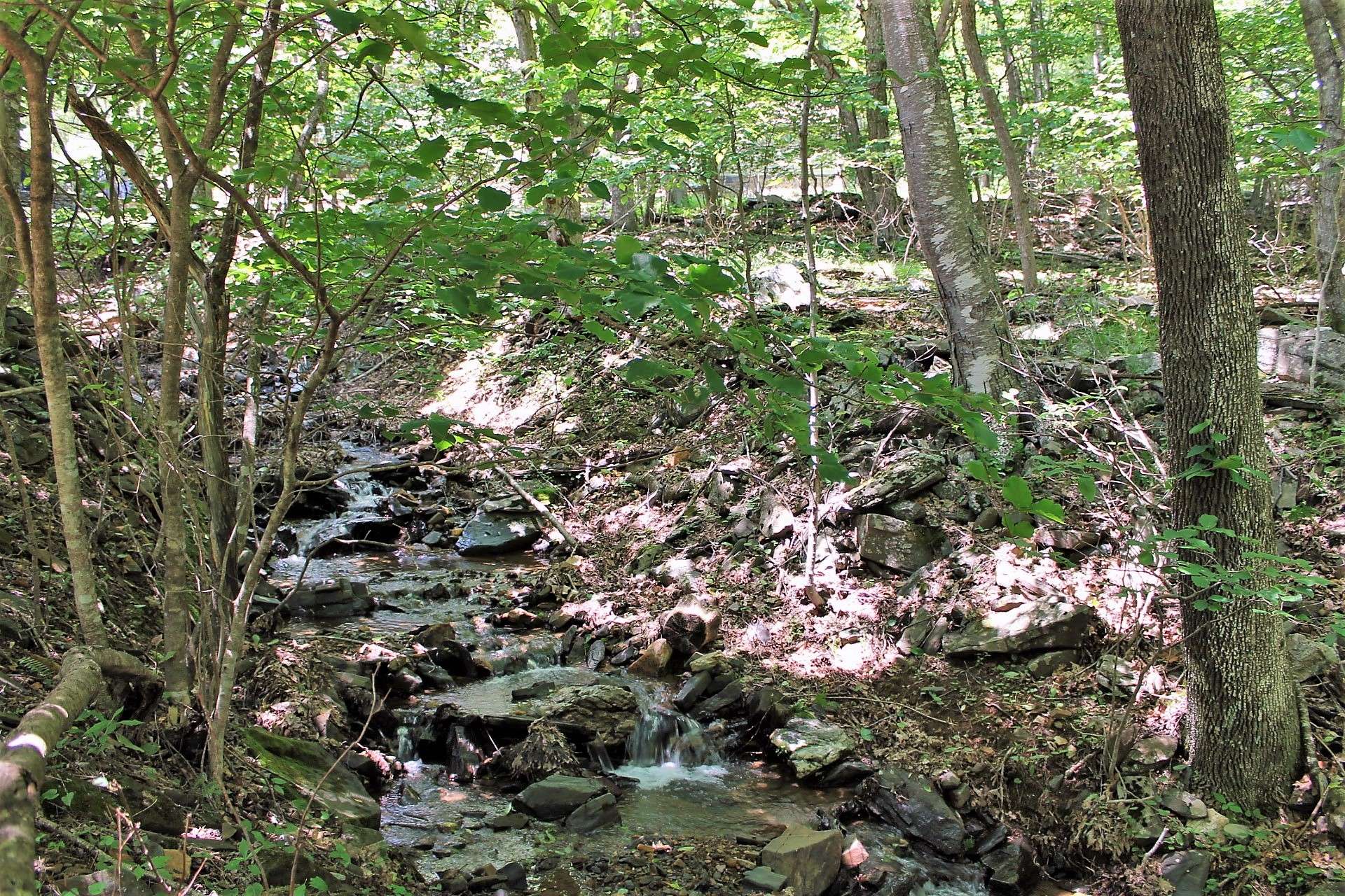 This is the perfect place to dip your toes in mountain creek during the summer months!!