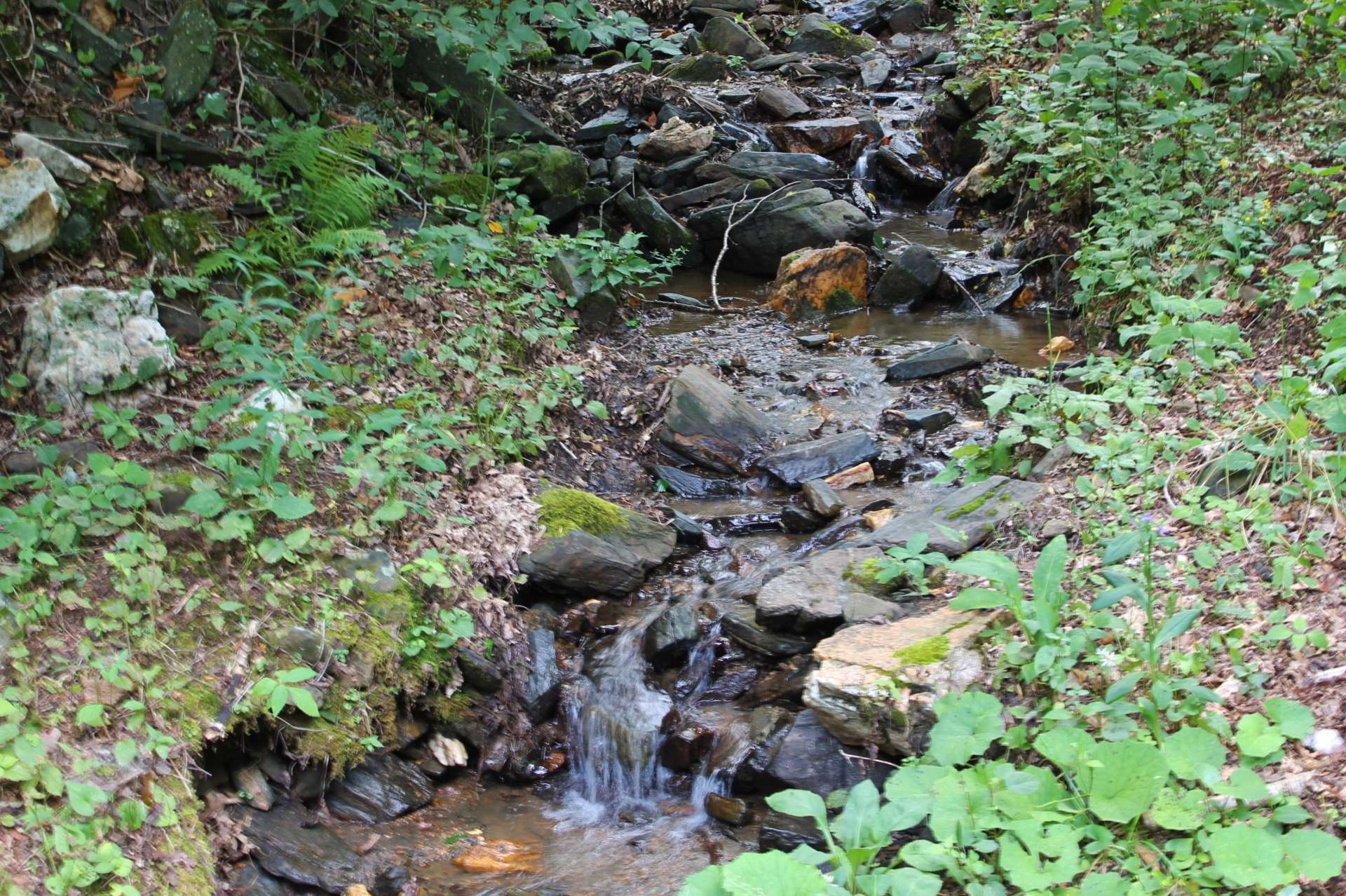 The spring fed creek offers relaxing sounds of Nature and...
