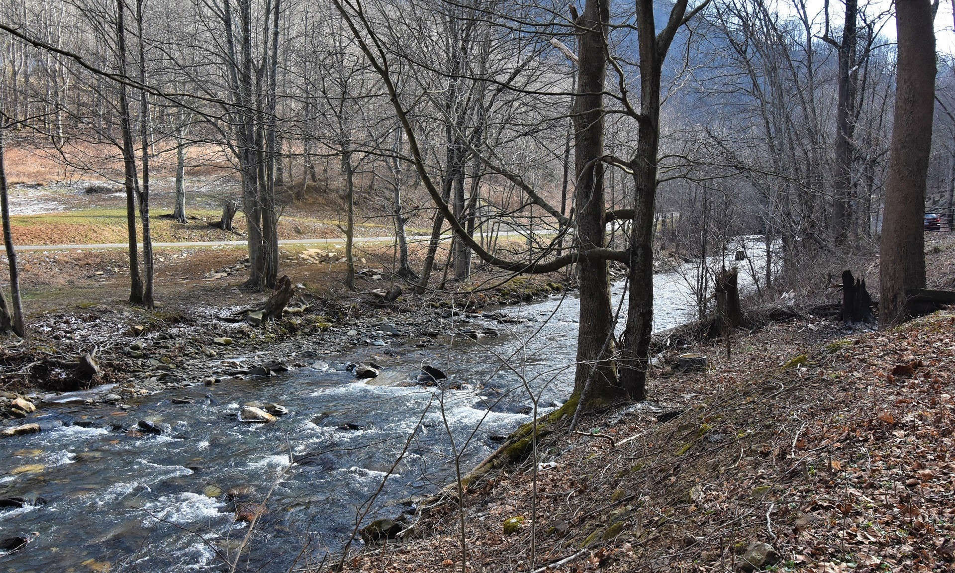 If you are looking for a Creekside site to build your NC Mountain retreat cabin, take a look at this 16.36 acre tract on Three Top Creek in Southern Ashe County.