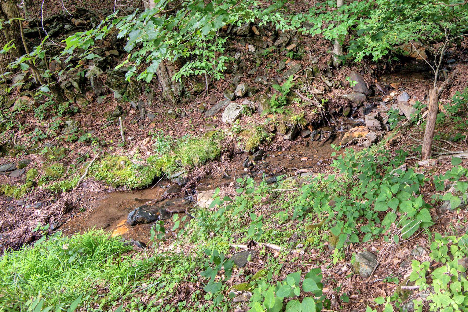 Dip your toes in rushing creek and let it wash away your worries.