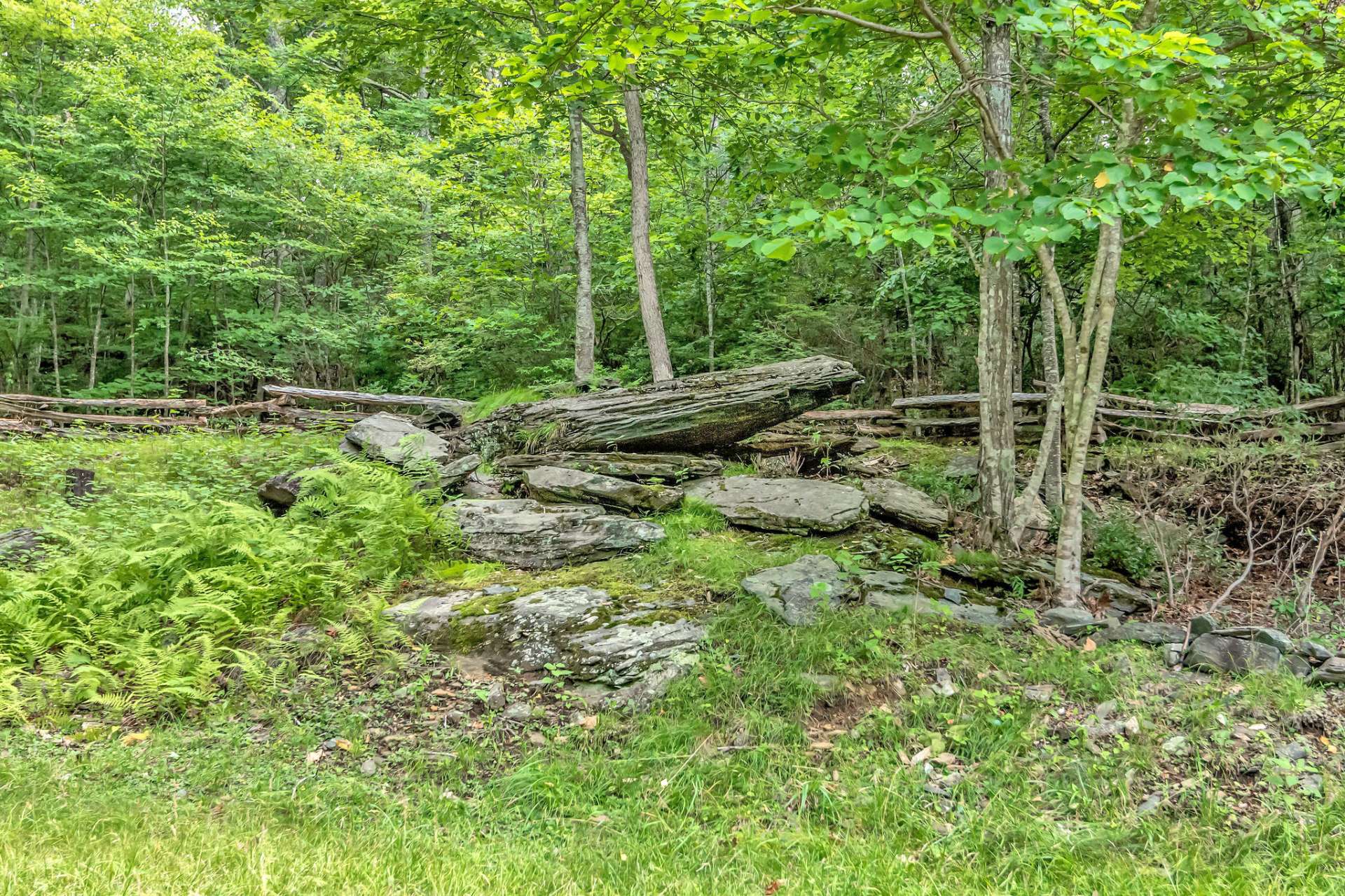 Nature's beauty flourishes with wispy ferns accenting the mountain boulders.