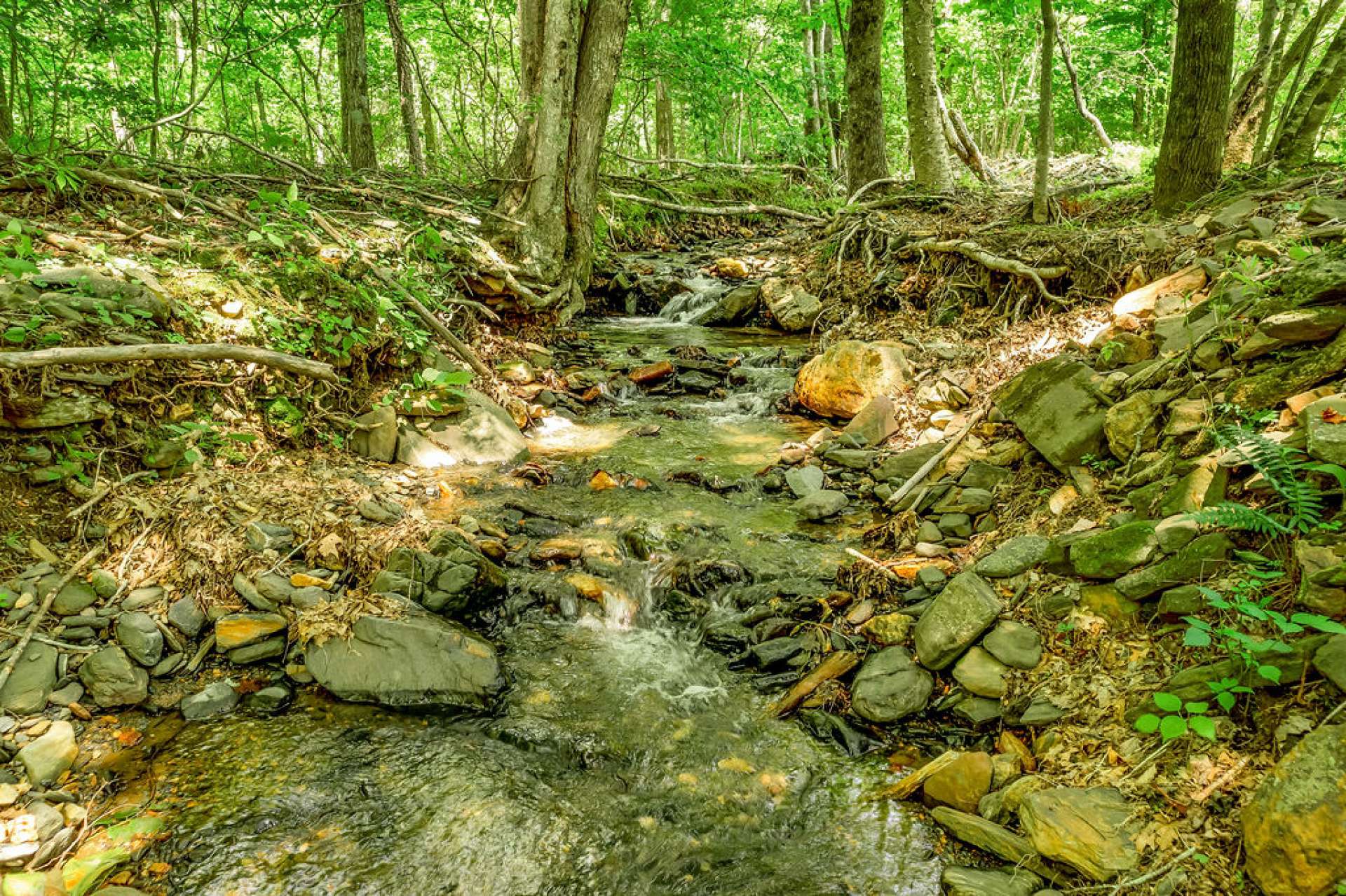 The rushing creek amplifies the sounds of nature surrounding this cabin.