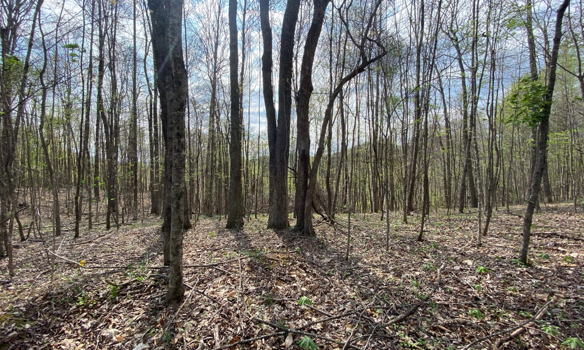 Creston NC Mountain Homesite Ashe County