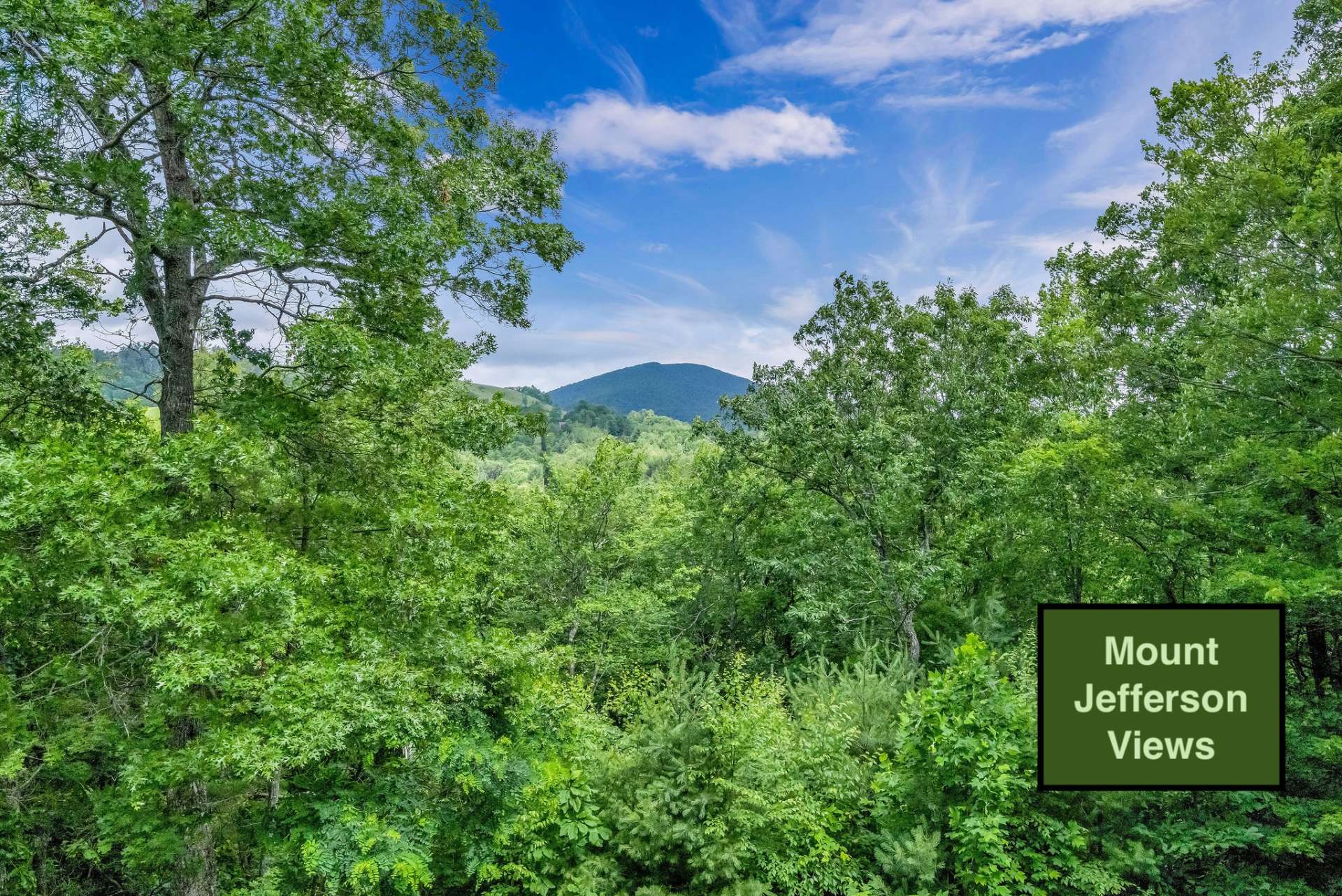 Wonderful views of Mount Jefferson