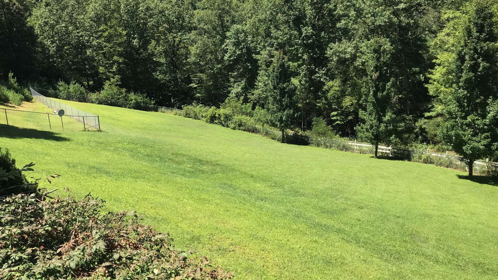 The back lawn offers space for gardening or play.