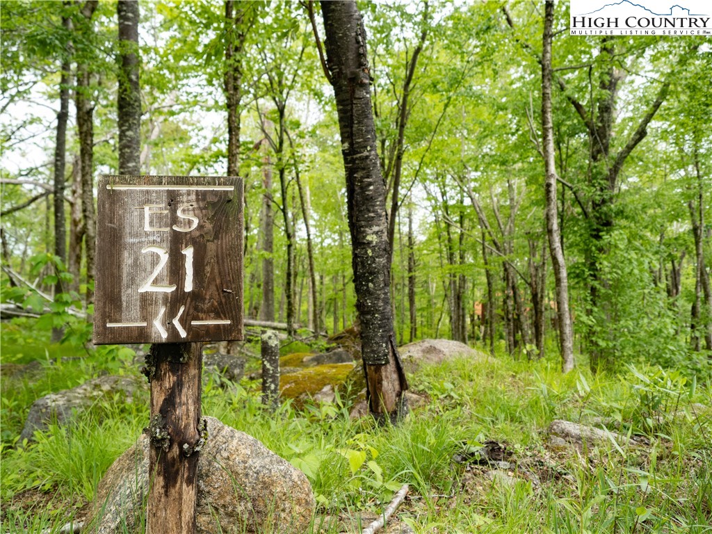 ES-21 Eagle Springs Trail