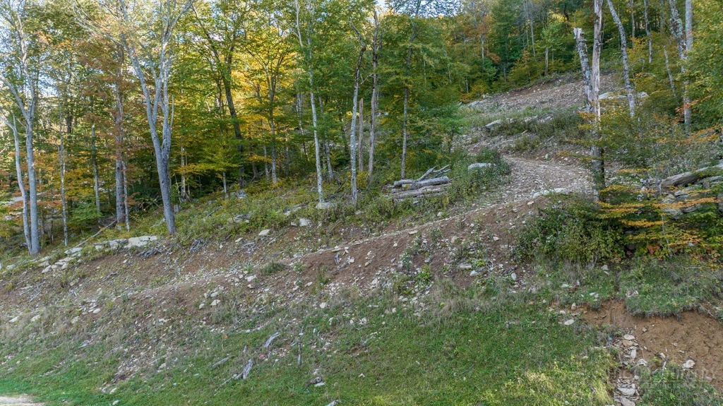 ES 77 Red Robin Road