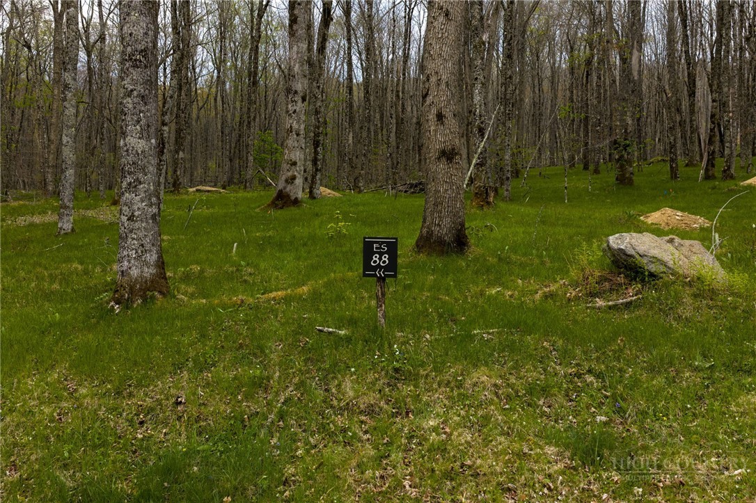 ES-88 Lands End Trail