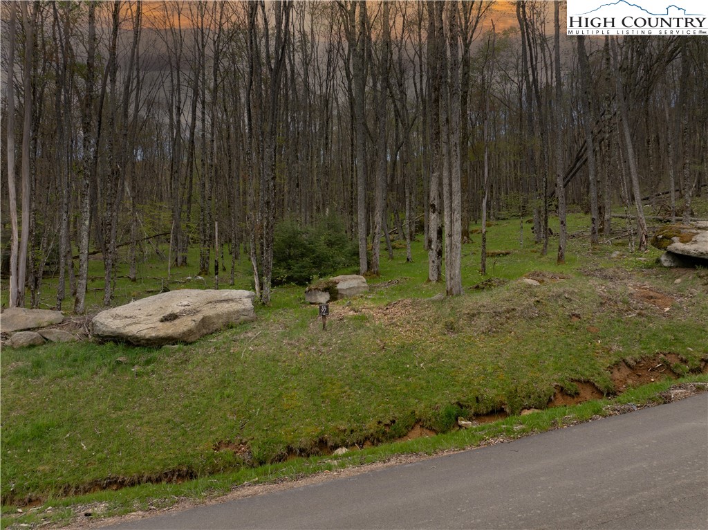 ES-97 Twisted Oak Path