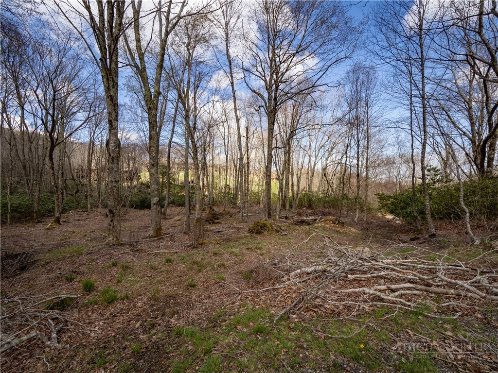 ES42 Firesong Lane