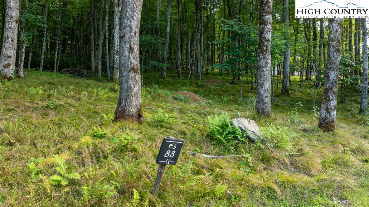 ES88 Lands End Trail