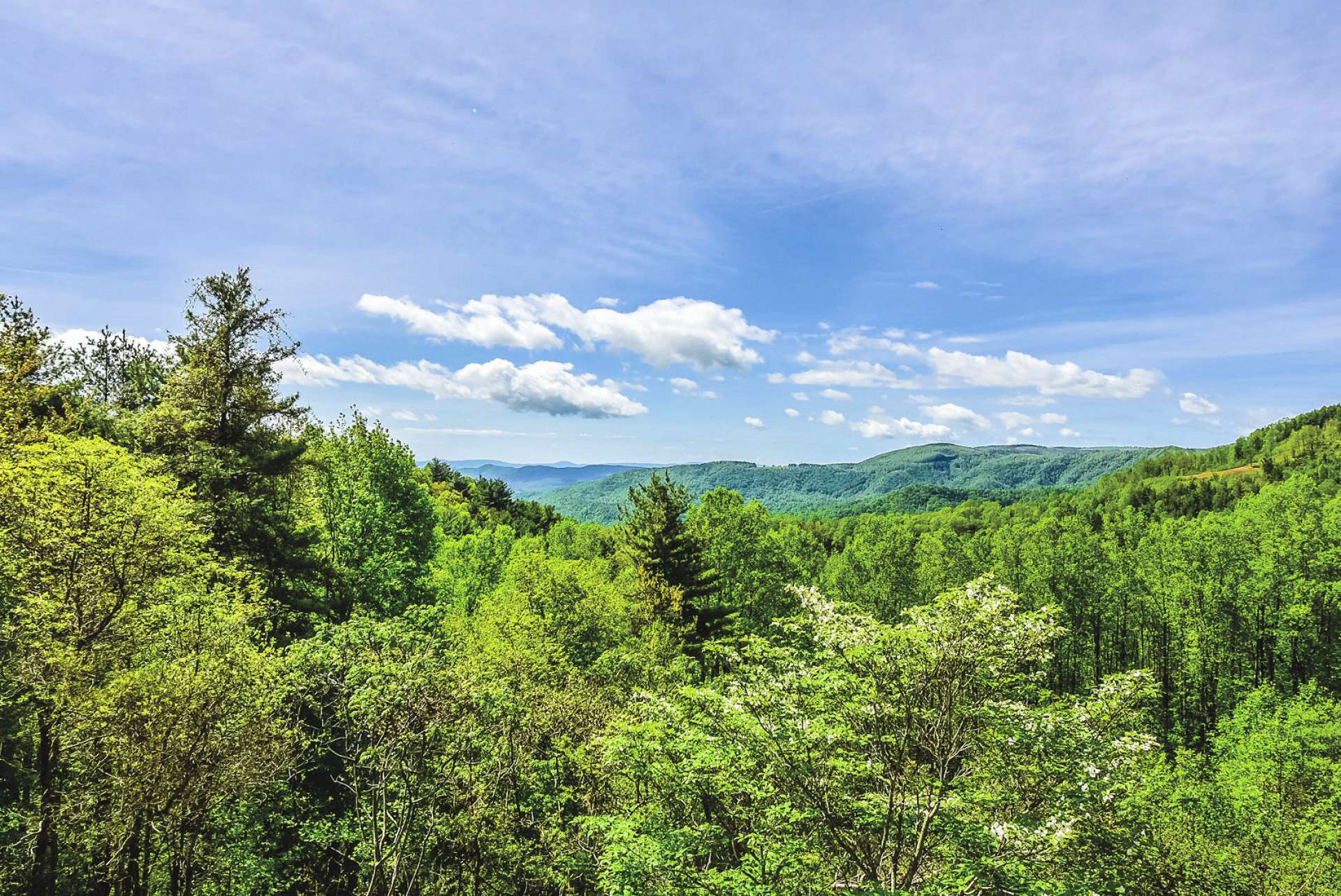 Enjoy long range layered mountain views from the back deck and many locations inside the home