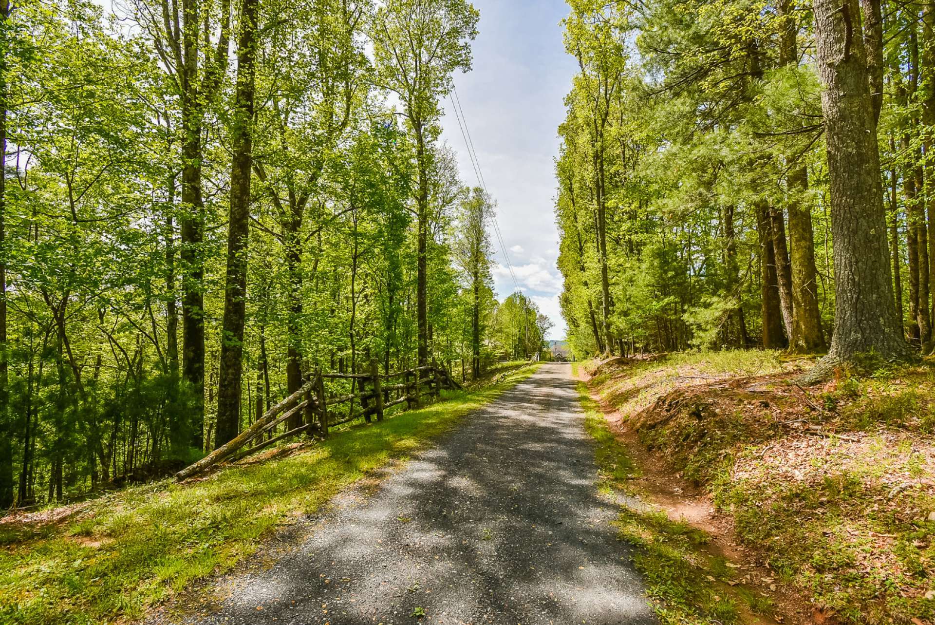 From the Parkway, a serene country graveled lane, canopied with native hardwoods and evergreens, leads you to the gated entrance.