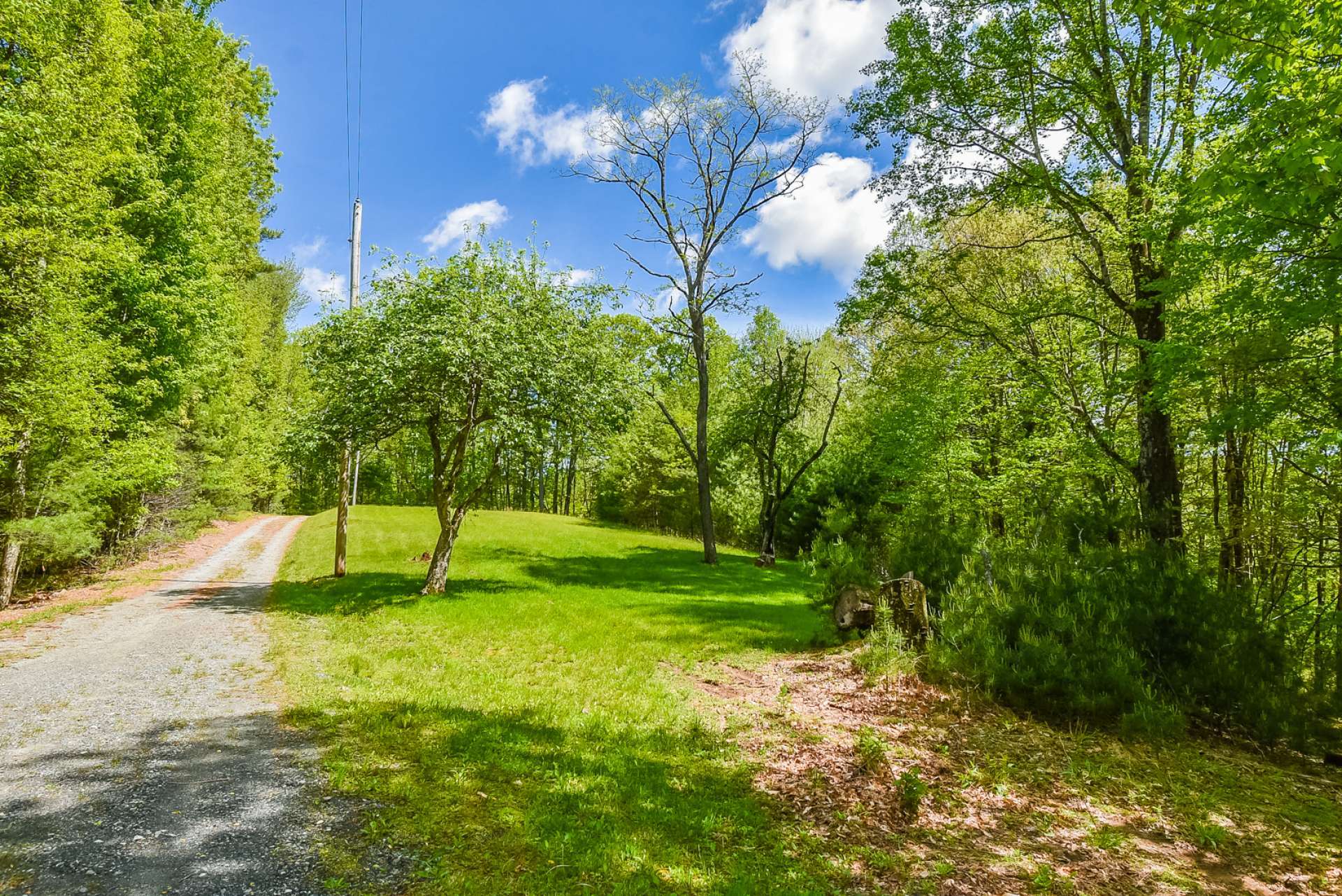 The 16+ acre with an open area with apple trees, surrounded by native hardwoods, evergreens and mountain foliage.