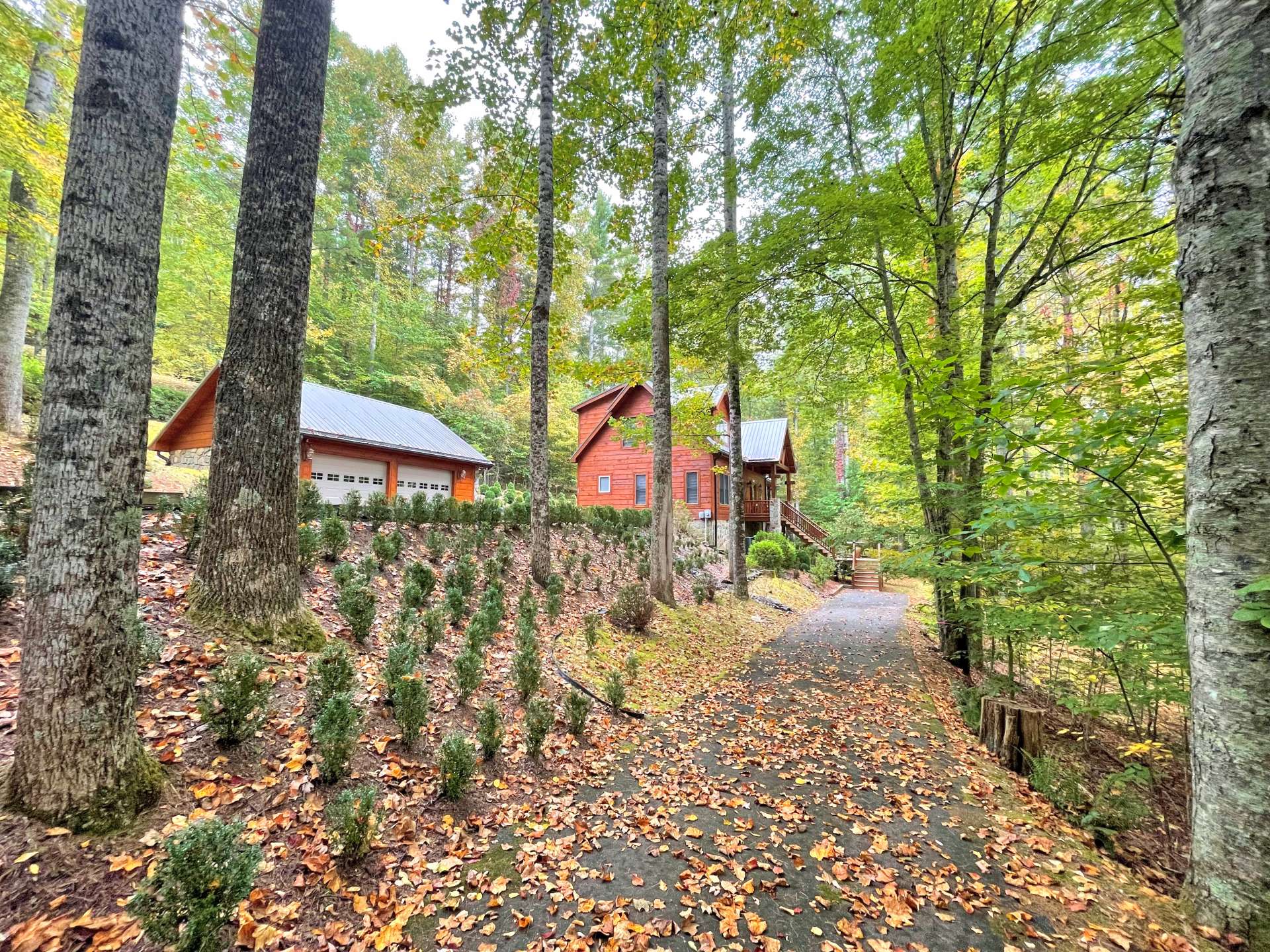Lower Drive to front door!