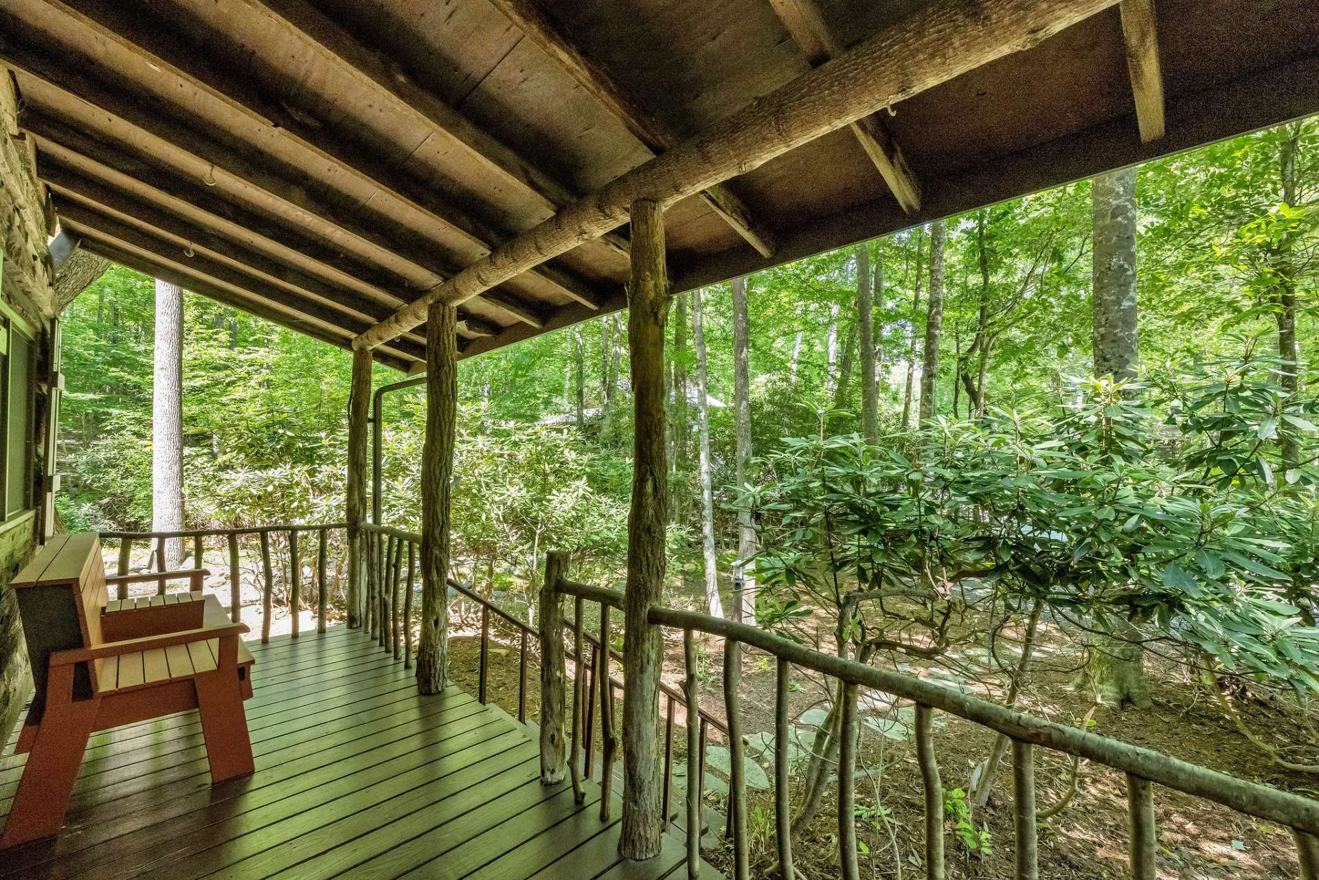 Surrounded by Mountain Laurel and other native mountain foliage