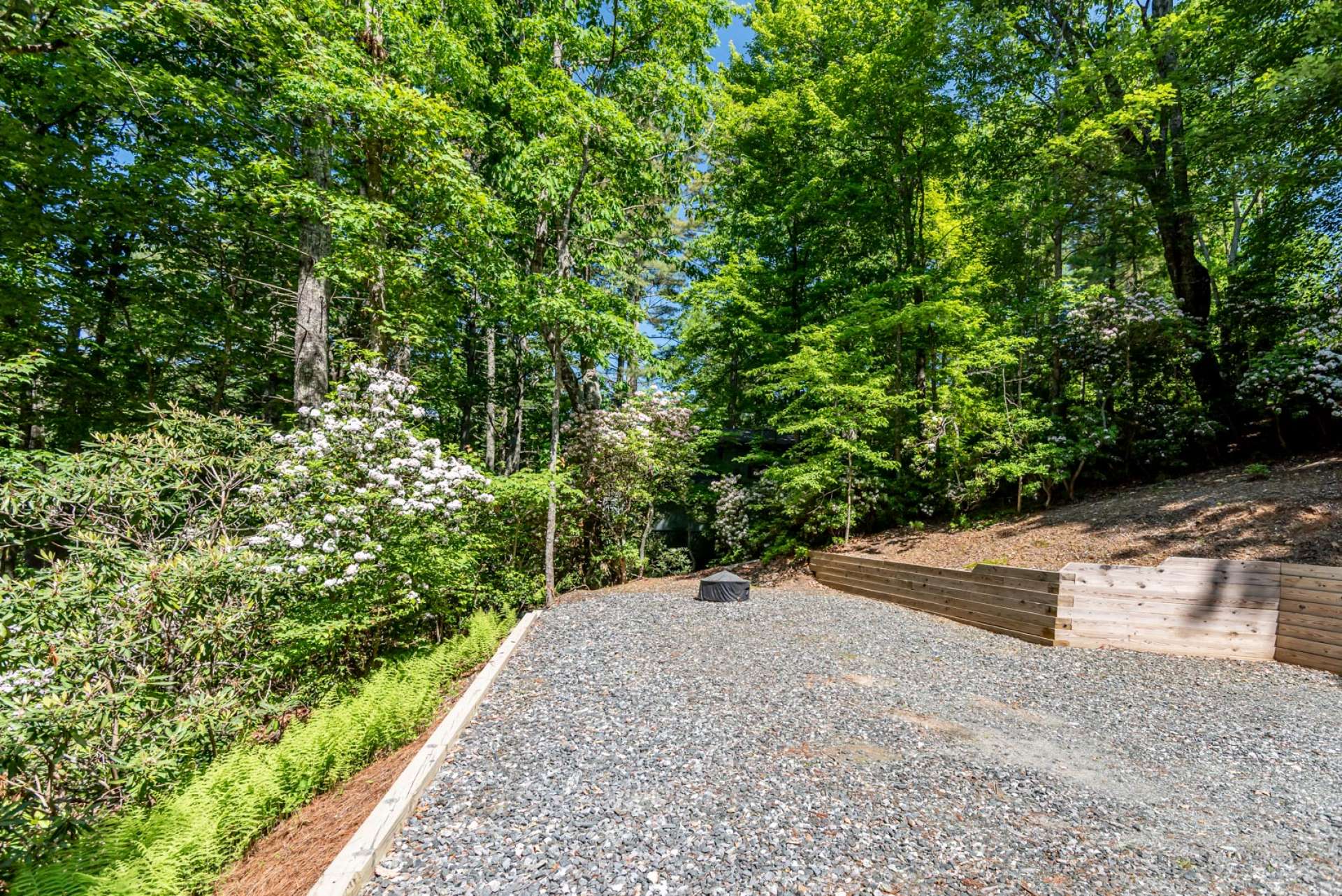 Fire pit area and ample parking space