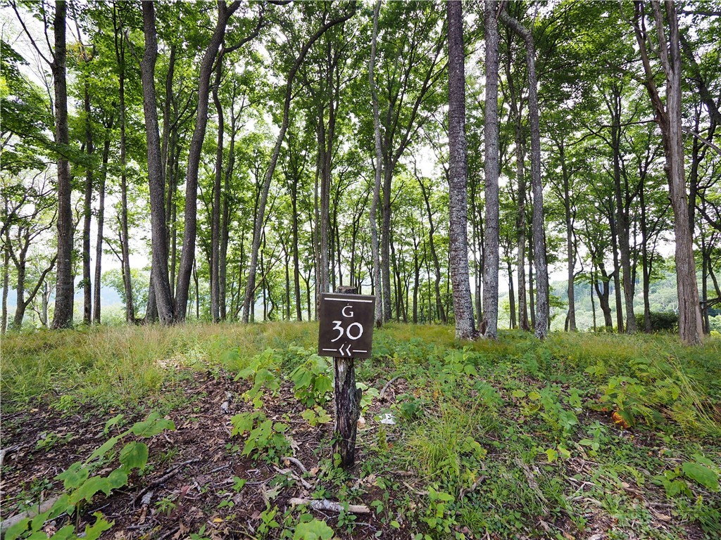 G30 Lodge Woods Trail