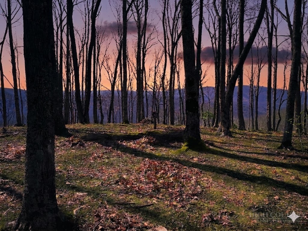 G30 Lodge Woods Trail