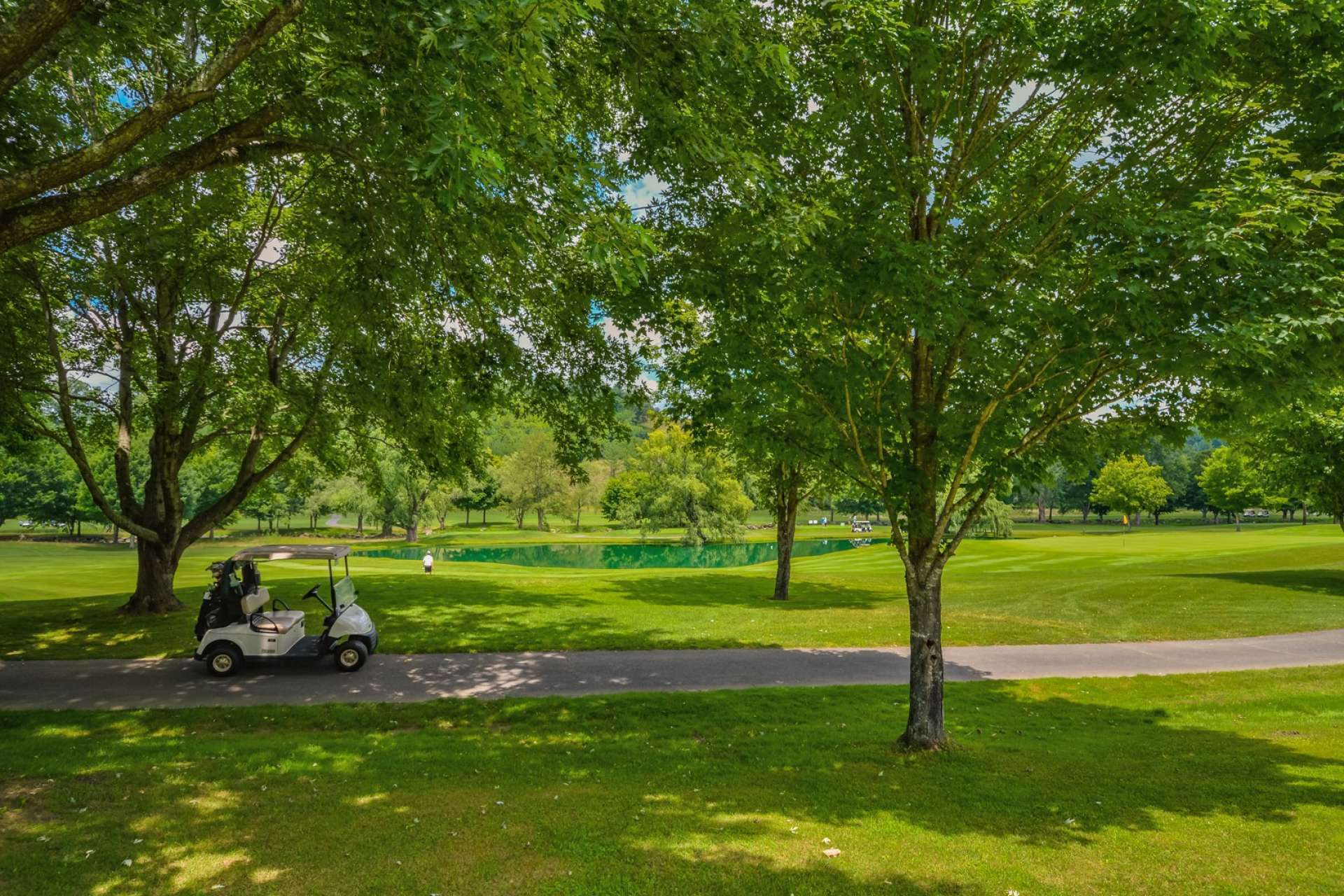 This stunning home is nestled on a fabulous setting overlooking the pond and green at the 4th hole.