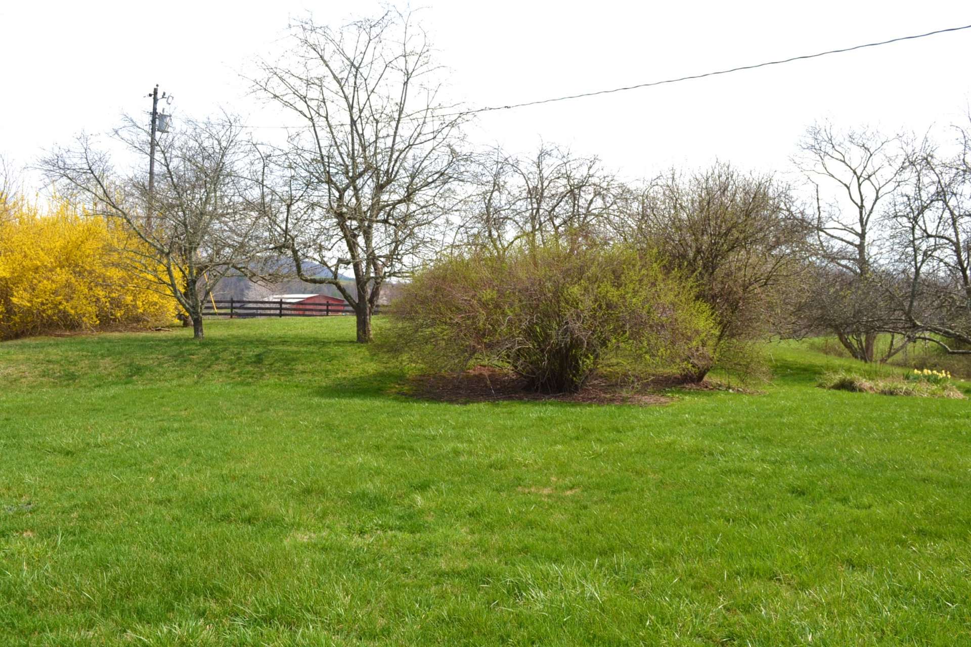 This property offers a small orchard with a variety of fruit trees, chestnut tree, and grapevine.