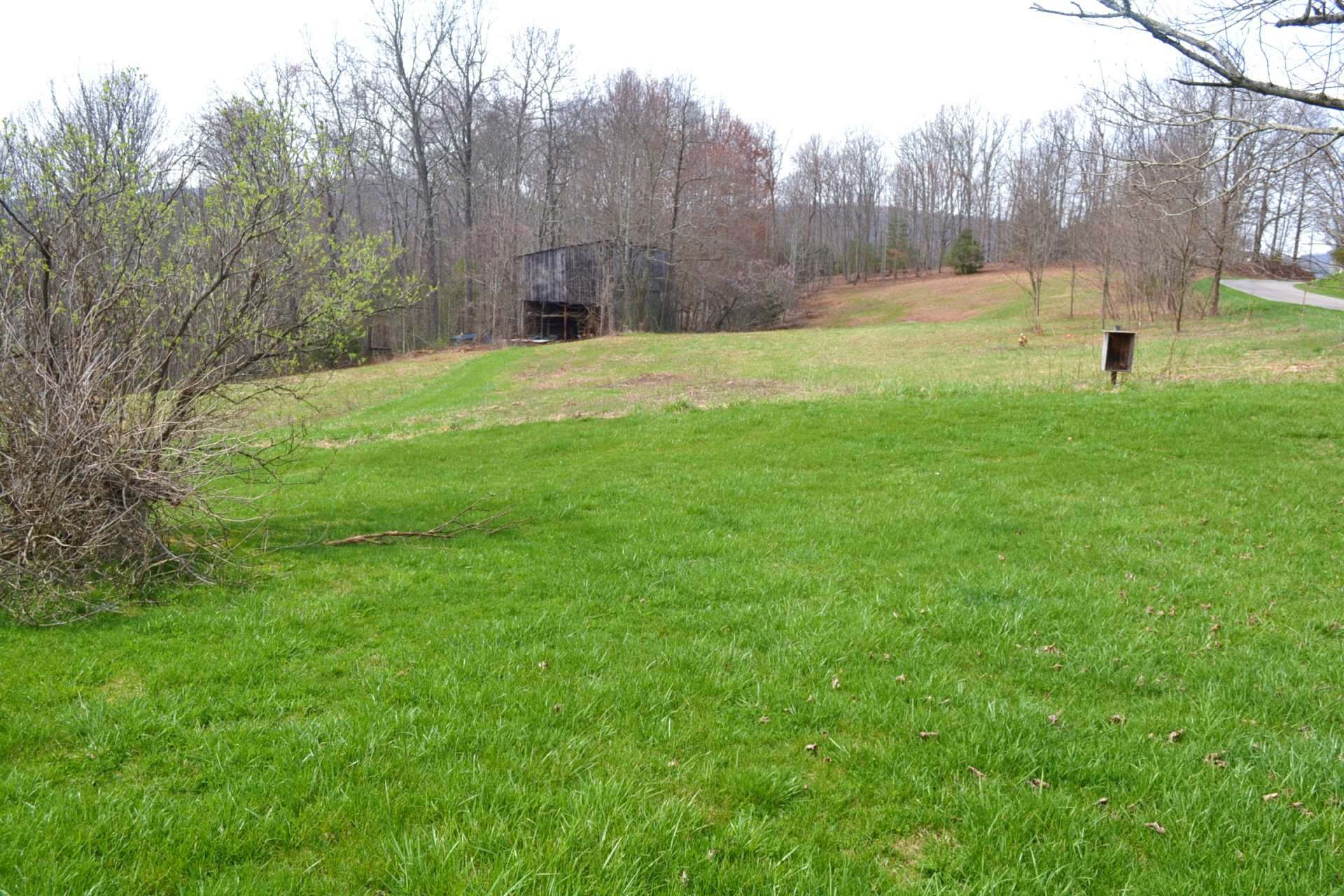 A large pole barn and some open pasture are great for horses or crops. This property has produced lush garden and tobacco harvest for many years.