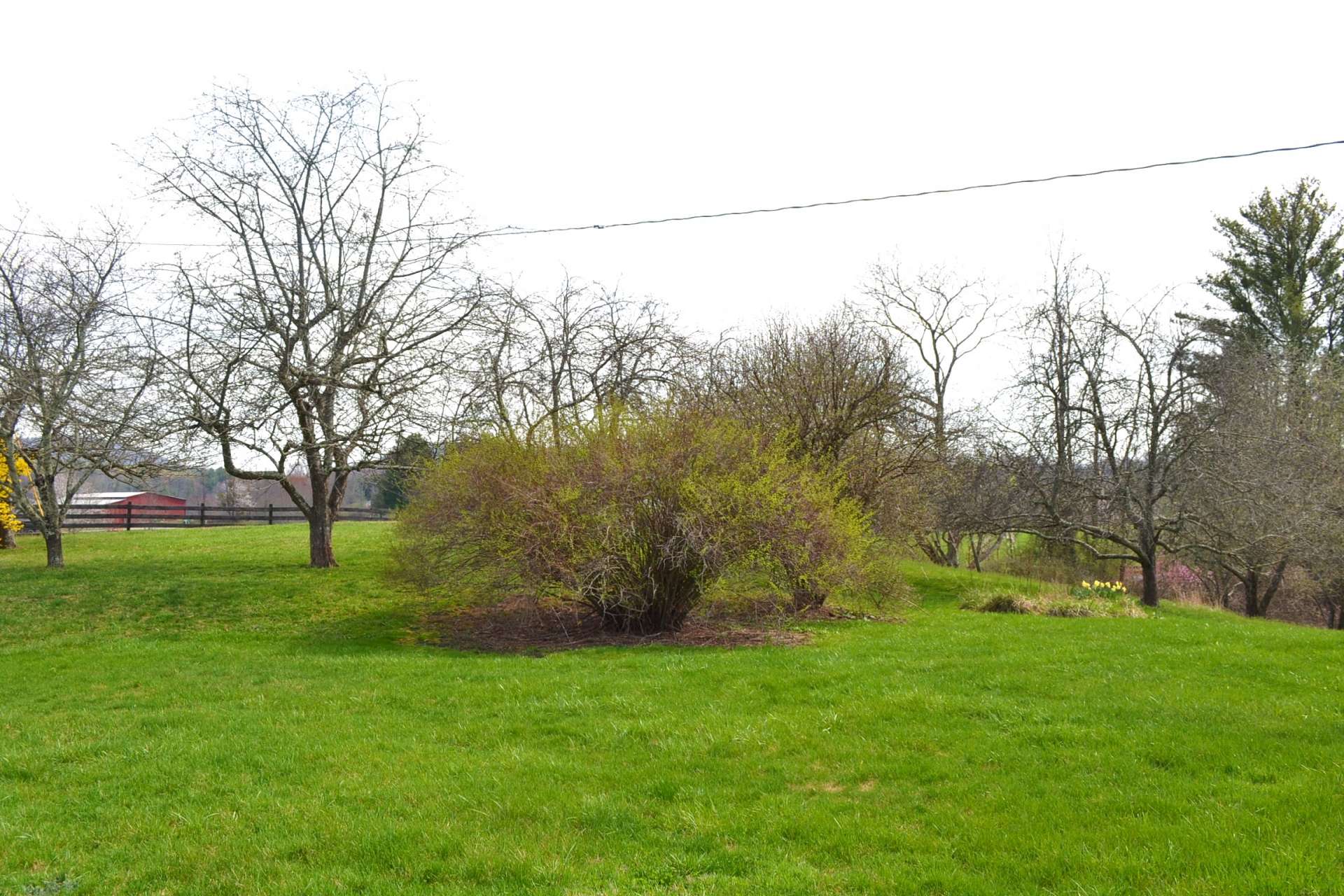 Lovingly planted perennials, flowering shrubbery and shade trees enhance the country feel and provide shelter for birds in the winter.