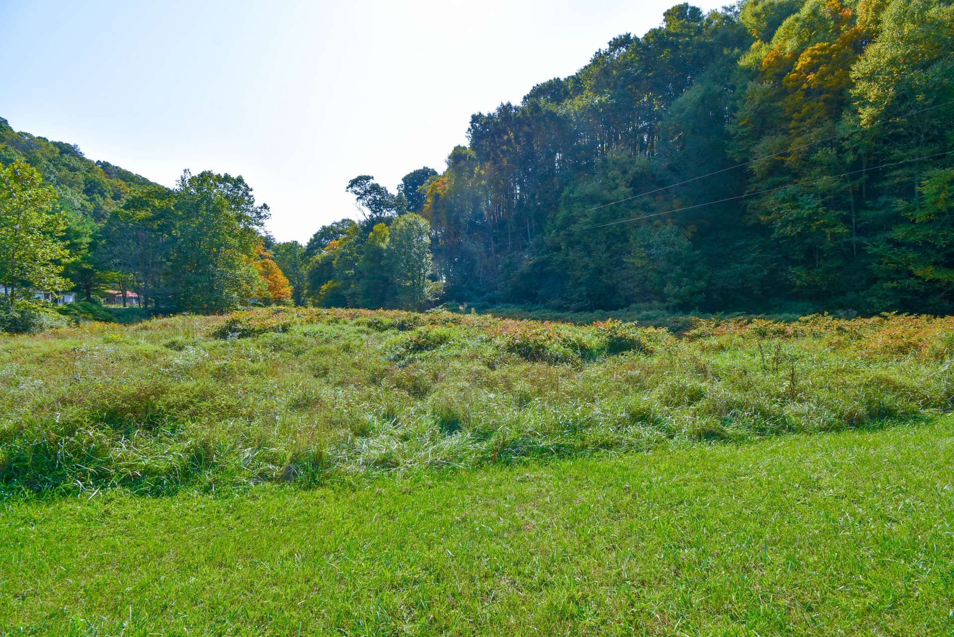 There is pasture for a horse and the location is close to the horse trails of Grayson Highlands.